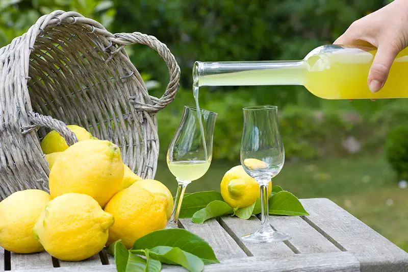 Guests enjoying the scent of fresh Limoncello