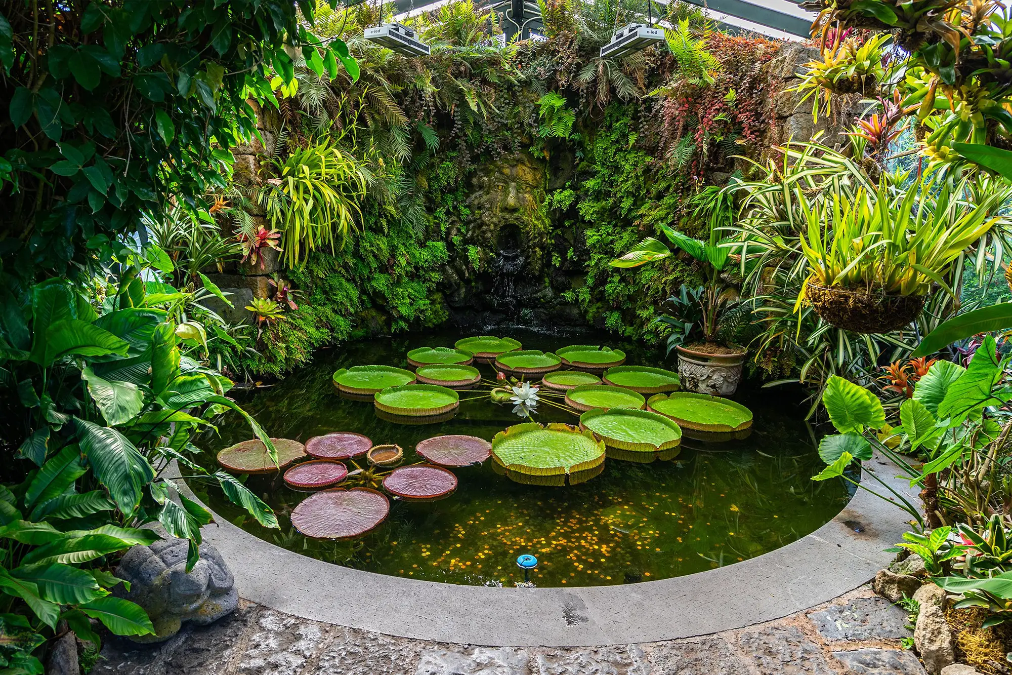 Mortella Garden Ischia
