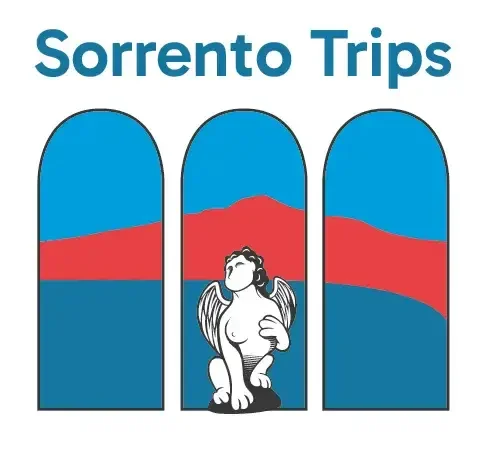 sorrentotrips.com